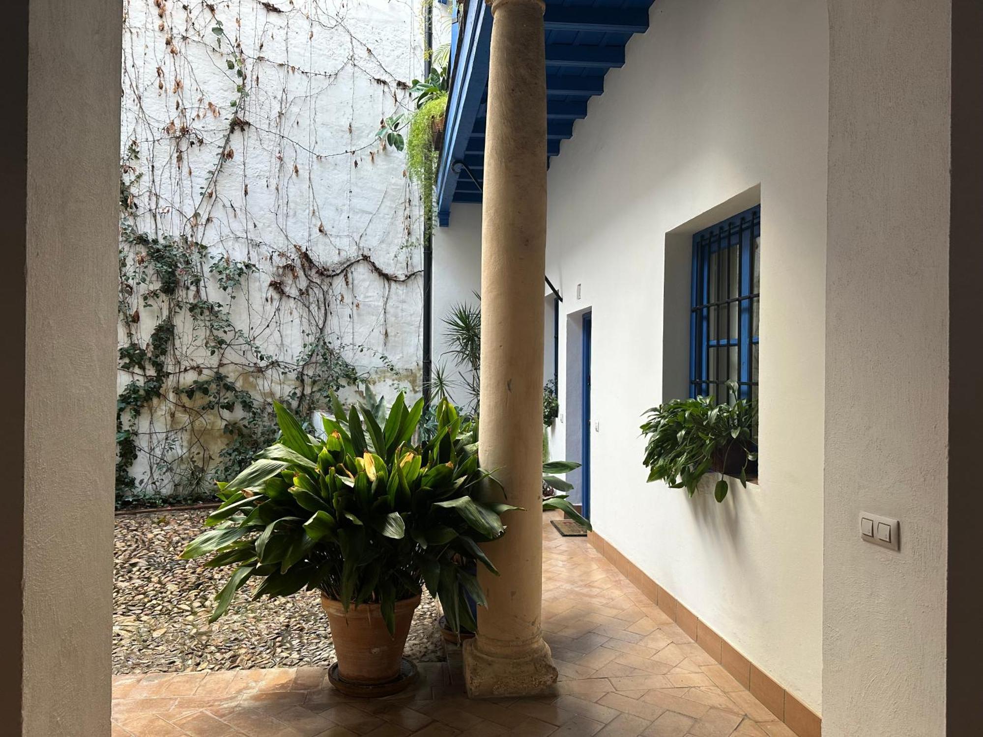 Vidrio 30-32 Apartman Sevilla Kültér fotó